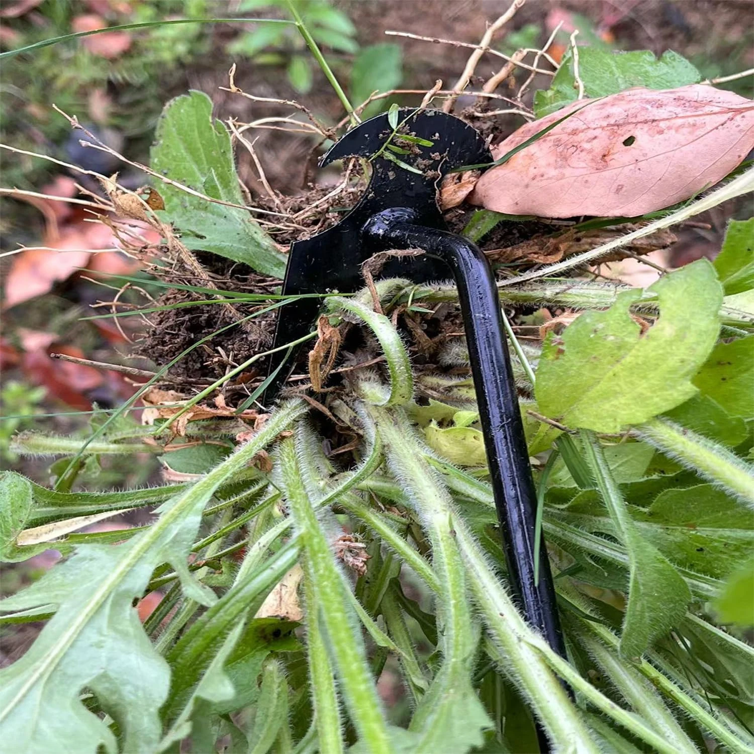 Herramienta extractora de malas hierbas de 19,7 pulgadas, herramientas de deshierbe de jardinería, nueva herramienta de desmalezado manual de jardinería, herramienta eliminadora de malas hierbas para jardín de verduras, espalda descubierta 2024