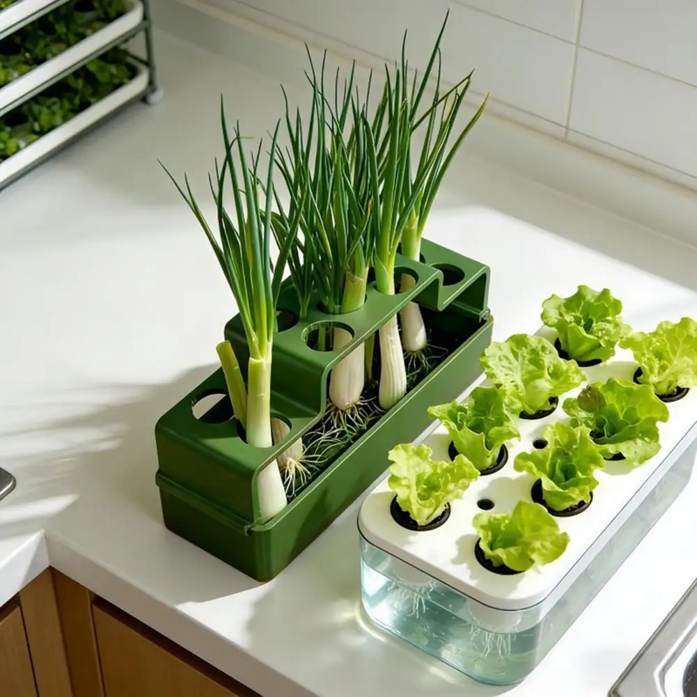

Scallion Planter,Hydroponic Soil-Free Planting Device,Household Hydroponic Onion Growing Box for Kitchen Balcony