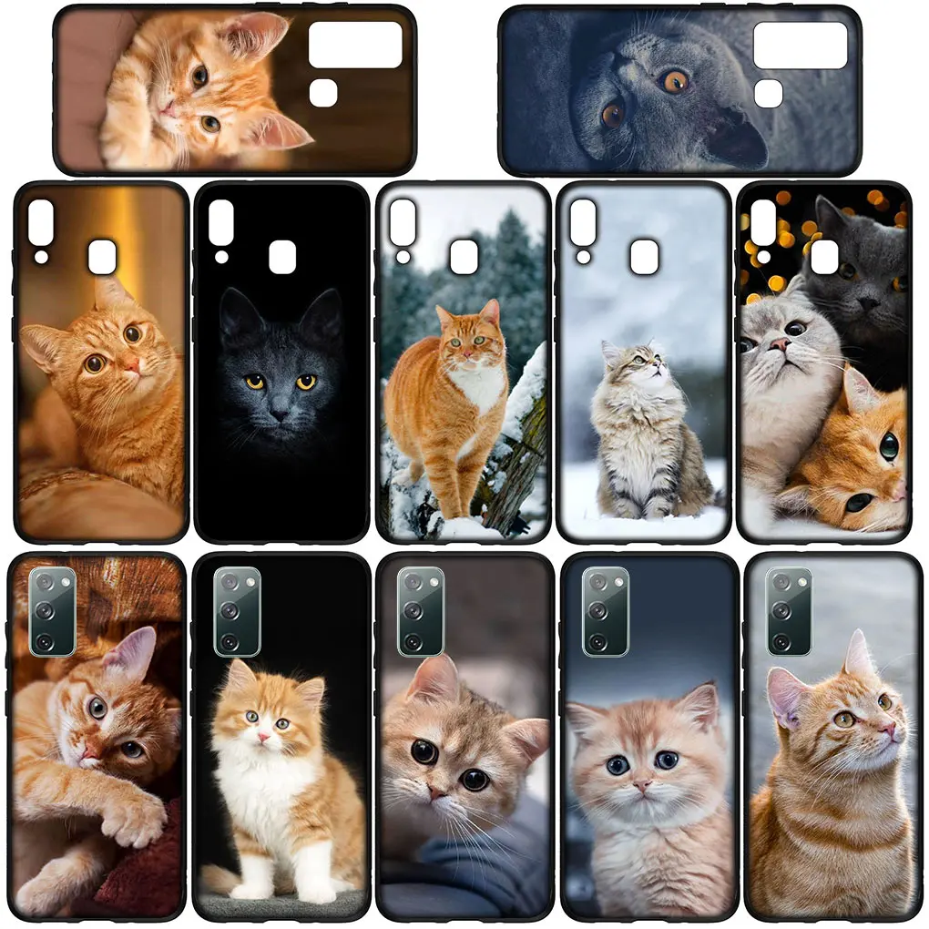 Meow Eyes Kitten Cat Cover Phone Case for Samsung Galaxy S24 S23 Fe Ultra Plus A55 A35 A24 A25 A15 A05 M55 M15 Funda Soft Casing