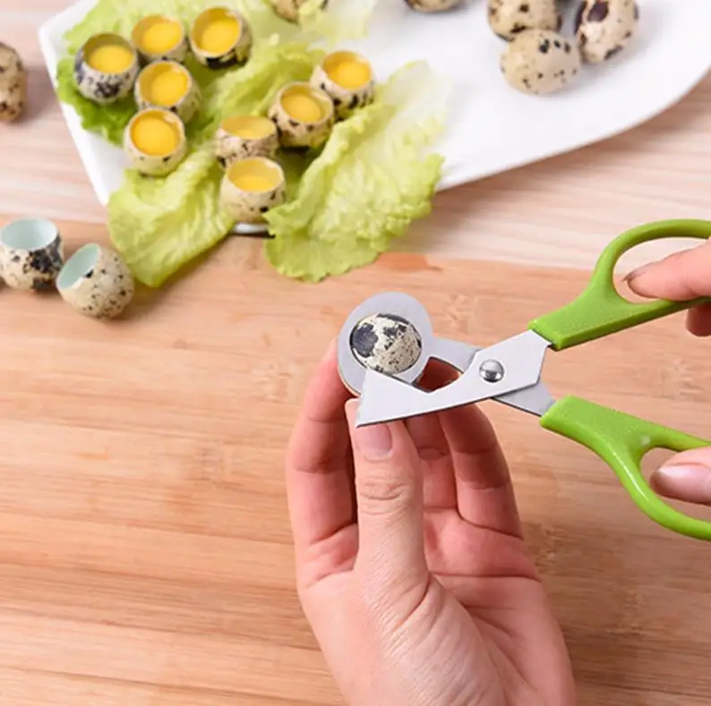 700pcs Hot sale Pigeon Quail Egg Scissor stainless steel Bird Cutter Opener Kitchen Tool Clipper