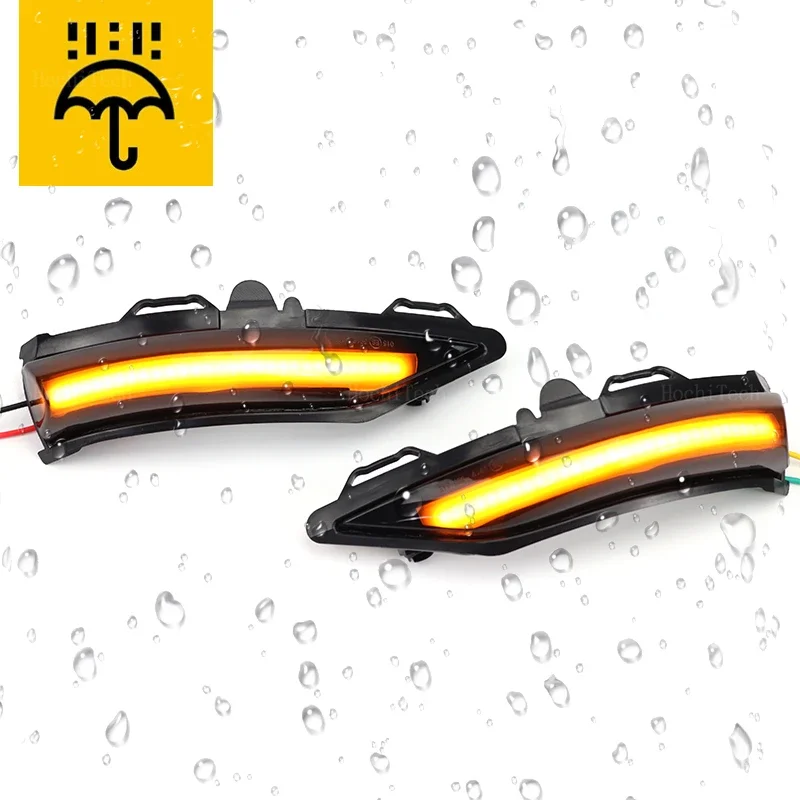 Dynamic Black LED Turn Signal Light Sequential Rearview Mirror Light For Ford Fiesta ST Line MK8 Puma Crossover ST 2018-2023