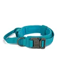 Blue dog collar