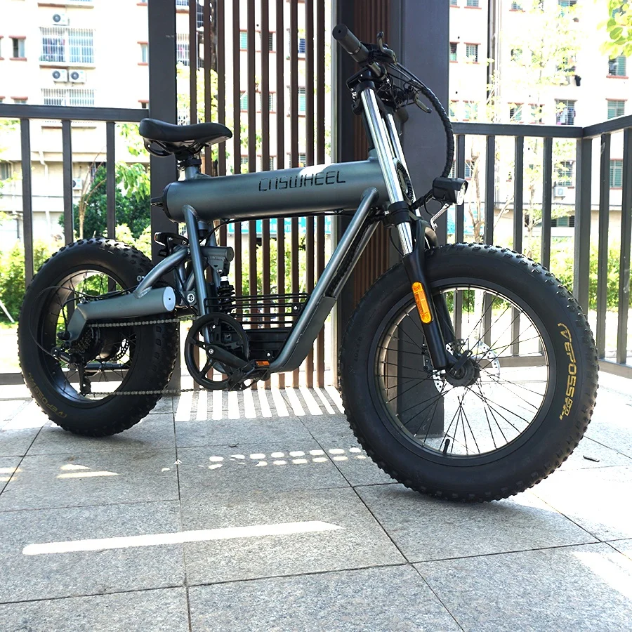 Coswheel T20 الدهون الدراجة المهنية المخصصة الرياضة سبيكة الدراجة الجبلية الإطارات الكبيرة EV جبل الدهون الدراجات Bicicleta للرجال ركوب الدراجات