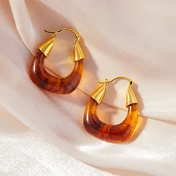 Gorgeous U Shape Amber Earrings For Women Luxury Copper Ear Stud Trending Designer Jewelry Wholesale