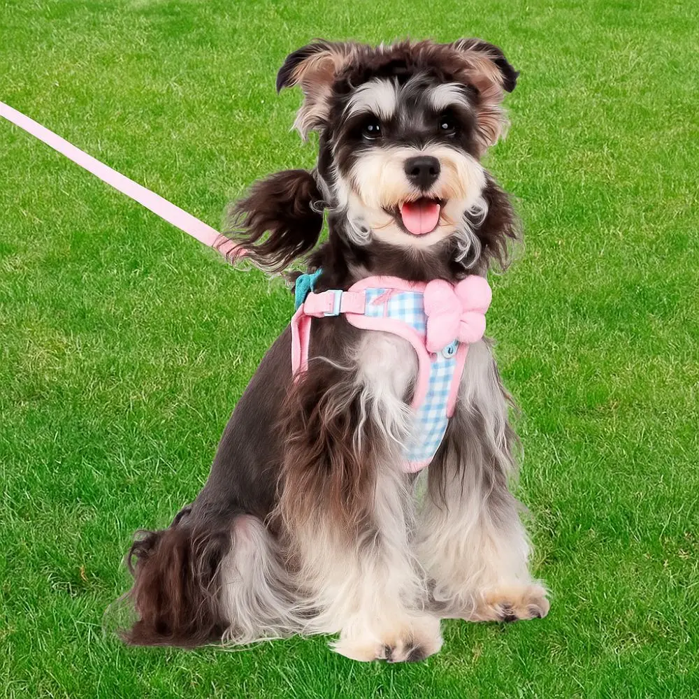

Adjustable Dog Bow Harness Splicing Comfortable Dog Cooling Vest Candy Color Breathable Dog Chest Strap for Cats and Dogs