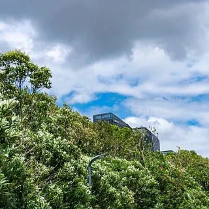 

GEPRC SPEEDX2 2809 1280KV Motor 6S LIPO for FPV Freestyle 7inch 8inch Long Range Cinelifter Drones DIY Parts