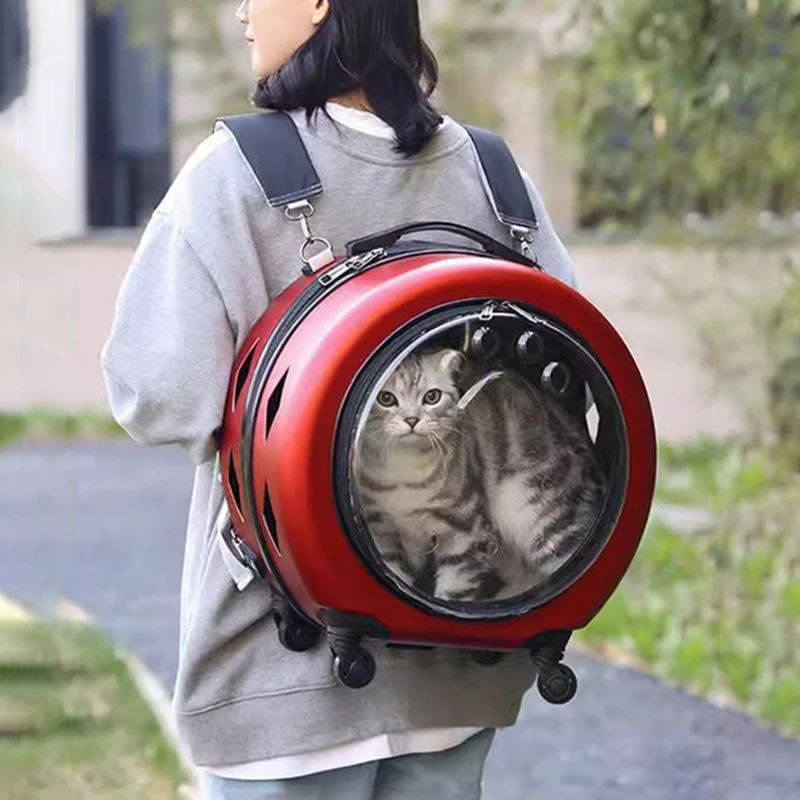 Portable Cat Suitcase Transparent Backpack Large Capacity Pet Carriers Travel Cats Handbag with Wheel Trolley Case Pets Carriers