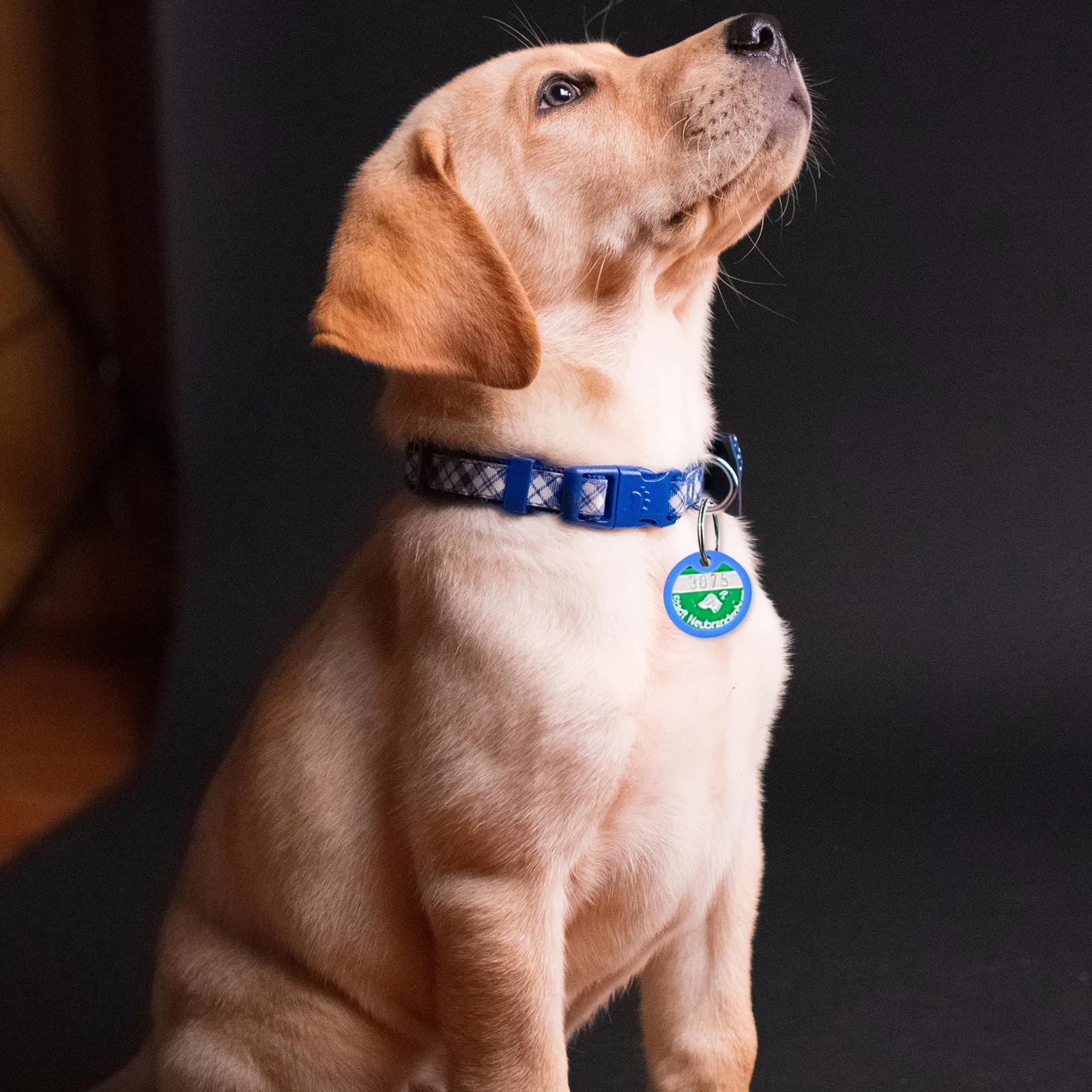 

6Pcs Silicone Dog Tag Covers Noise Reduction Protector Rings for Pet Id Tags Scratch Resistant Easy Fit on Collars