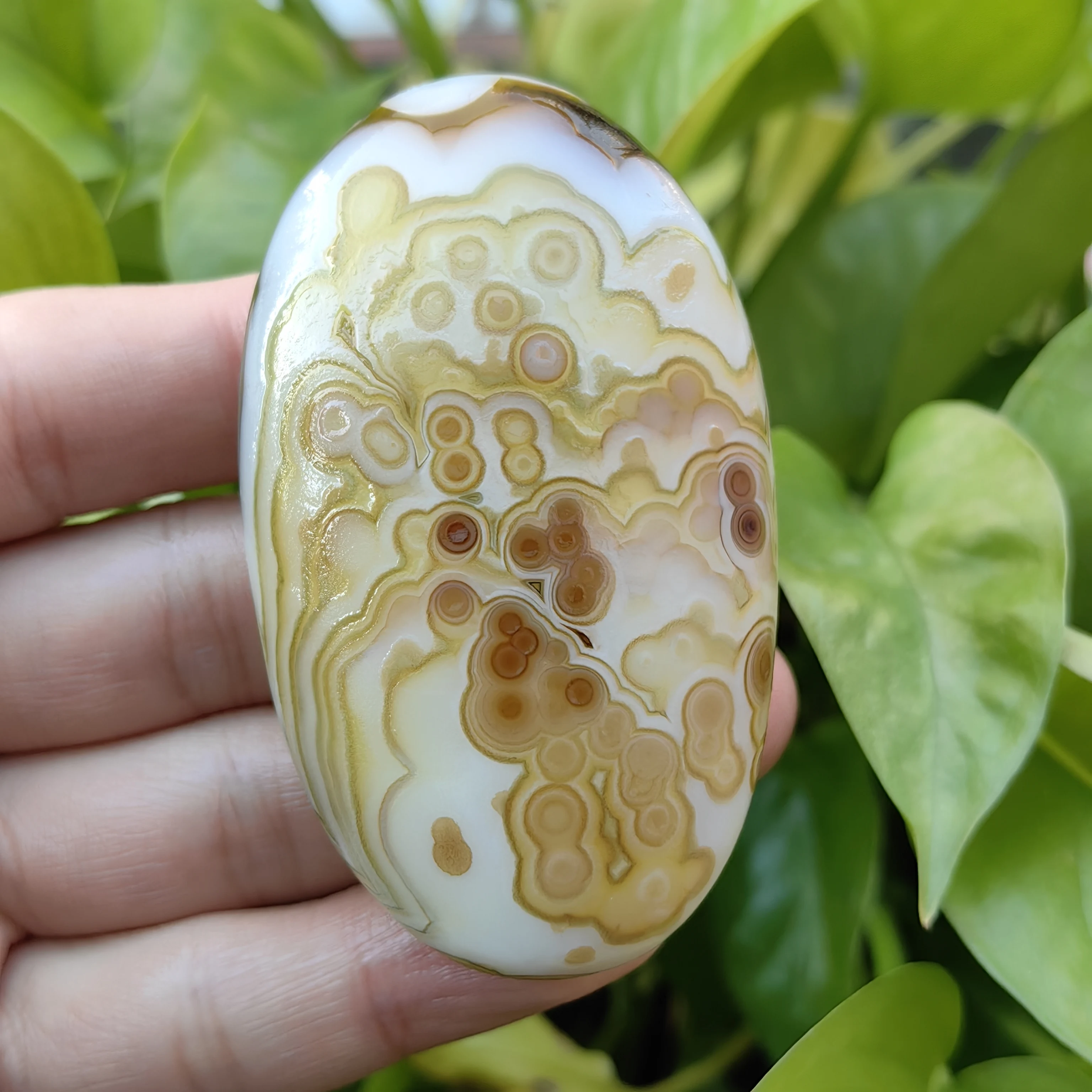 All-natural Divine Eye Agate Rough Stone Palm Stones Collection Meditation Stress Relief Energy Work Good Luck Attract Wealth