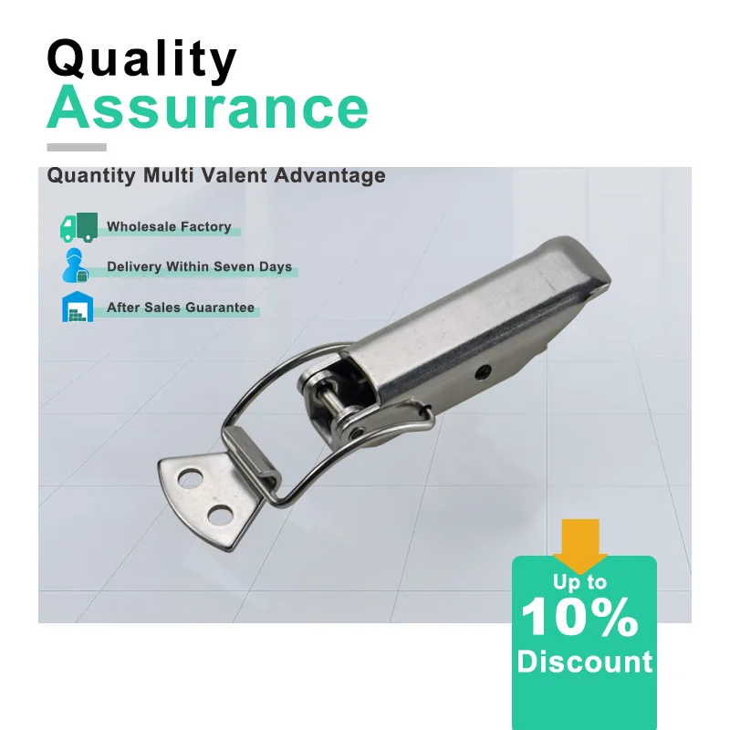 

304 Stainless Steel Buckle Lock Suitable For Industrial Hardware Medical Equipment Cabinet Doors And Automation Machinery