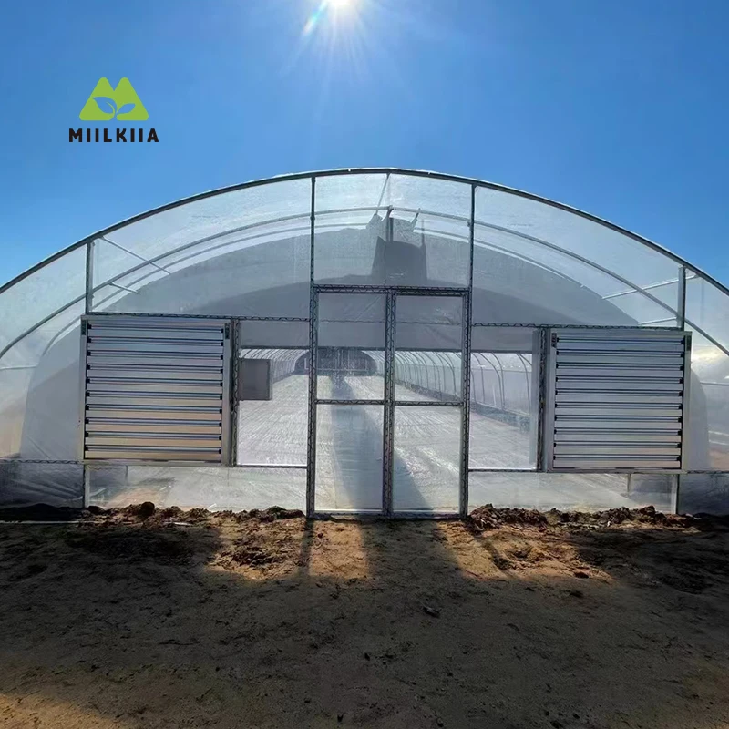 

Heavy-Duty Single-Bay Tunnel Greenhouse for – Cost-Effective, Expandable Greenhouse for Commercial Farming