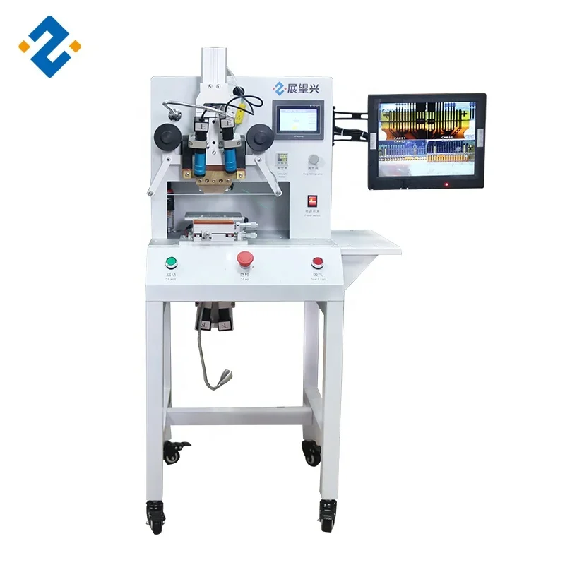 2019 Zhan Wang Xin …