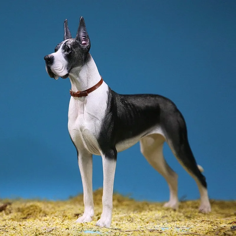 JXK 1/6 Maßstab Simulations-Haustier-Modell Deutscher Dogge Tierfigur aus Harz für 12-Zoll-Spielfiguren als Schreibtisch-Dekoration