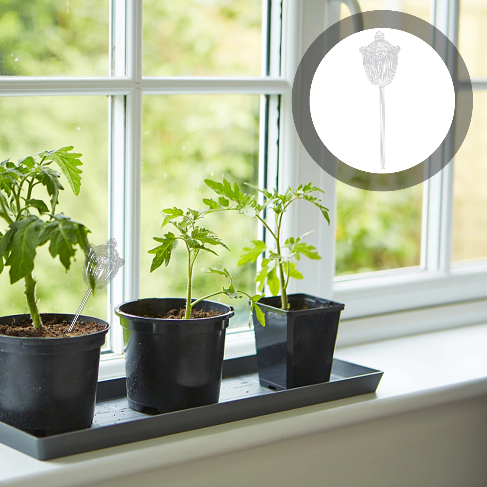 

2Pcs Clear Glass Plant Watering Globe Automatic Self Watering Device for Potted Plants Flowers Garden Home Office Decoration