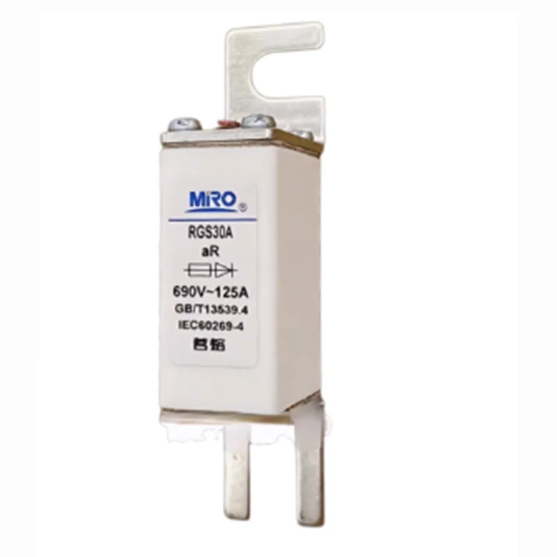 Hot MRO FUSE RGS30A 690V 800V 25A 32A 35A 40A 50A 60A 63A 80A 75A 100A 125A 80A 100A 125A 160A 200A RGS30A China Supplier Price