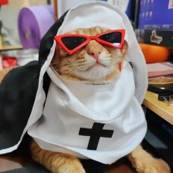 Halloween Pet Costume Nun Cat Hoodie Pet Nun Costume Hooded Scarf Halloween Funny Cat Transformation Halloween Dog Cat Costumes