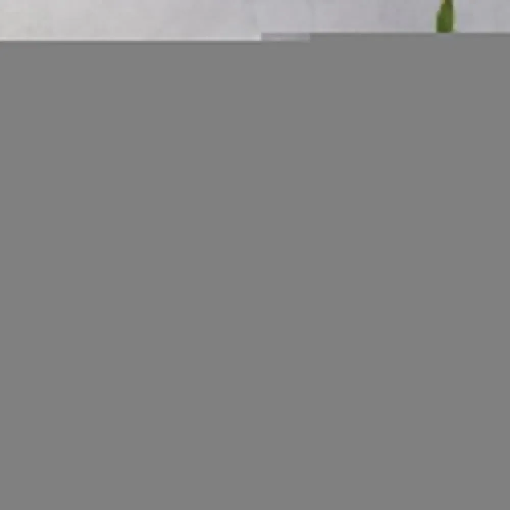 

Jerome Valeska Throw Blanket for babies For Baby Custom Loose Blankets
