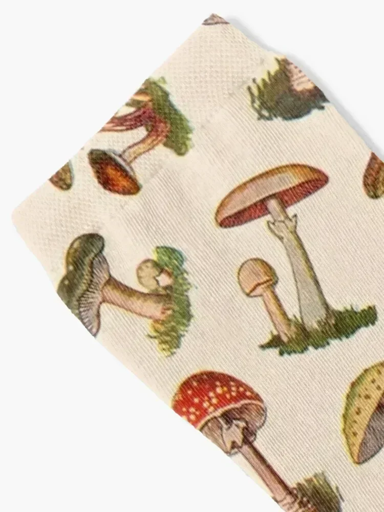 Mushrooms Socks christmass gift gift anti slip football Children's Luxury Woman Socks Men's