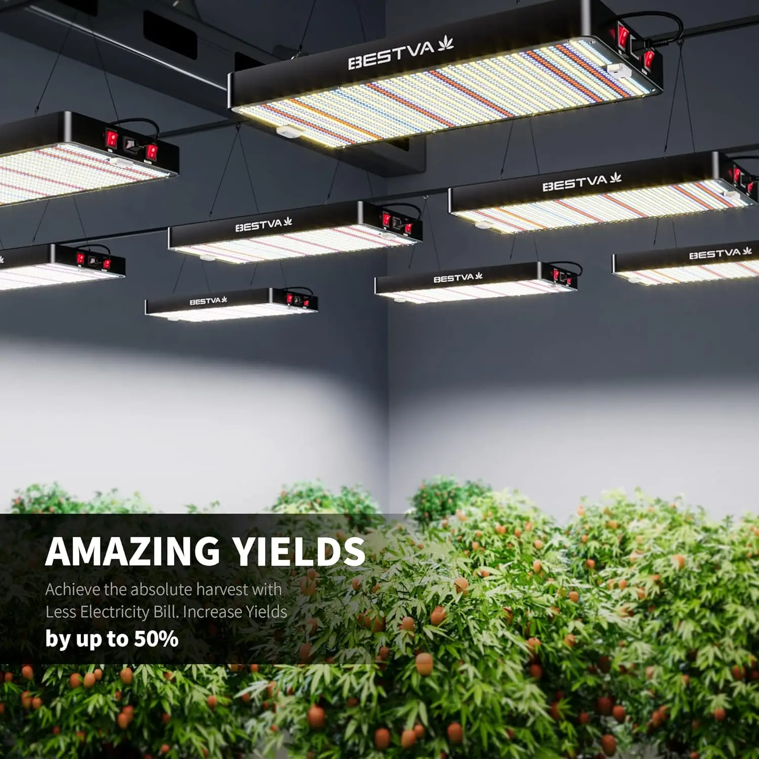 Luz Led de espectro completo con diodos de alto rendimiento, luces de cultivo para plantas de interior, invernadero, floración de verduras, DC4000