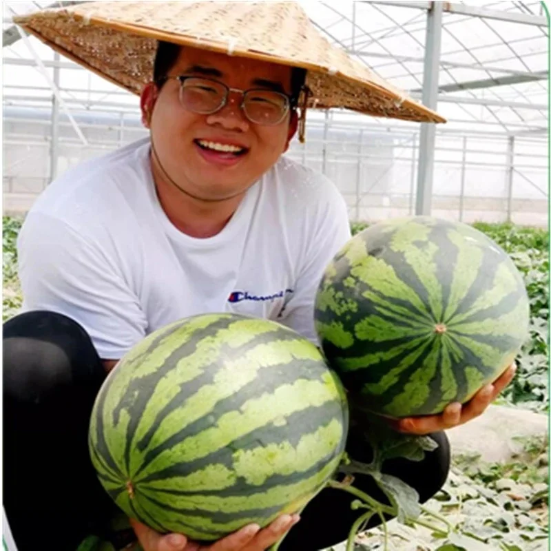 30g Watermelon Melon Specific Foliar Fertilizer Expanding Agent Sweetener Anti Cracking Increased Yield Flower, Fruit view 4
