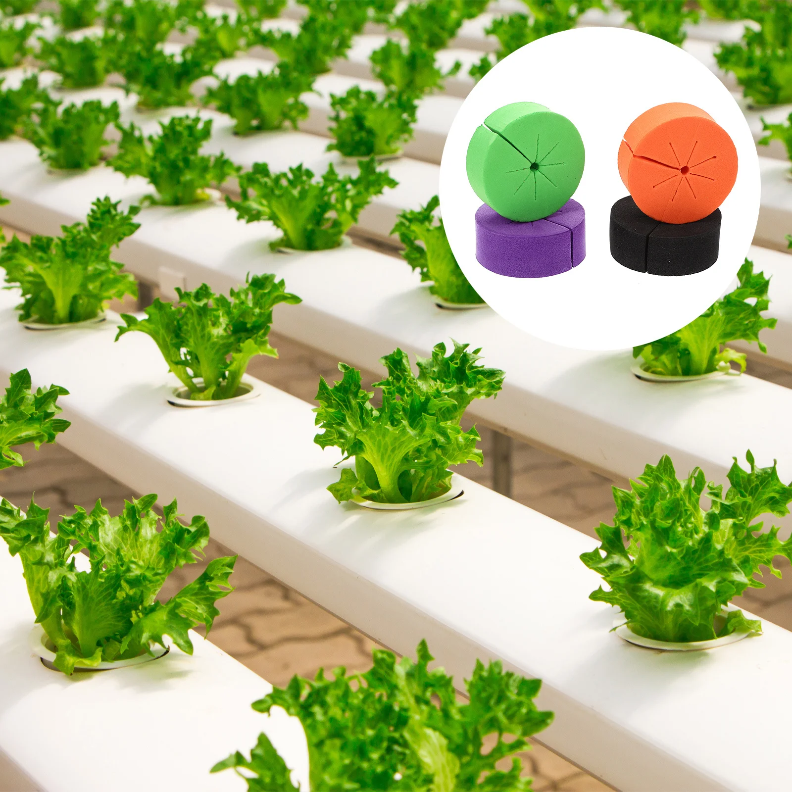 

40Pcs Soilless Cultivation Cushion Eva Hydroponic Planting Tools Vegetable Gardening Accessory Home Seedling Root Growth