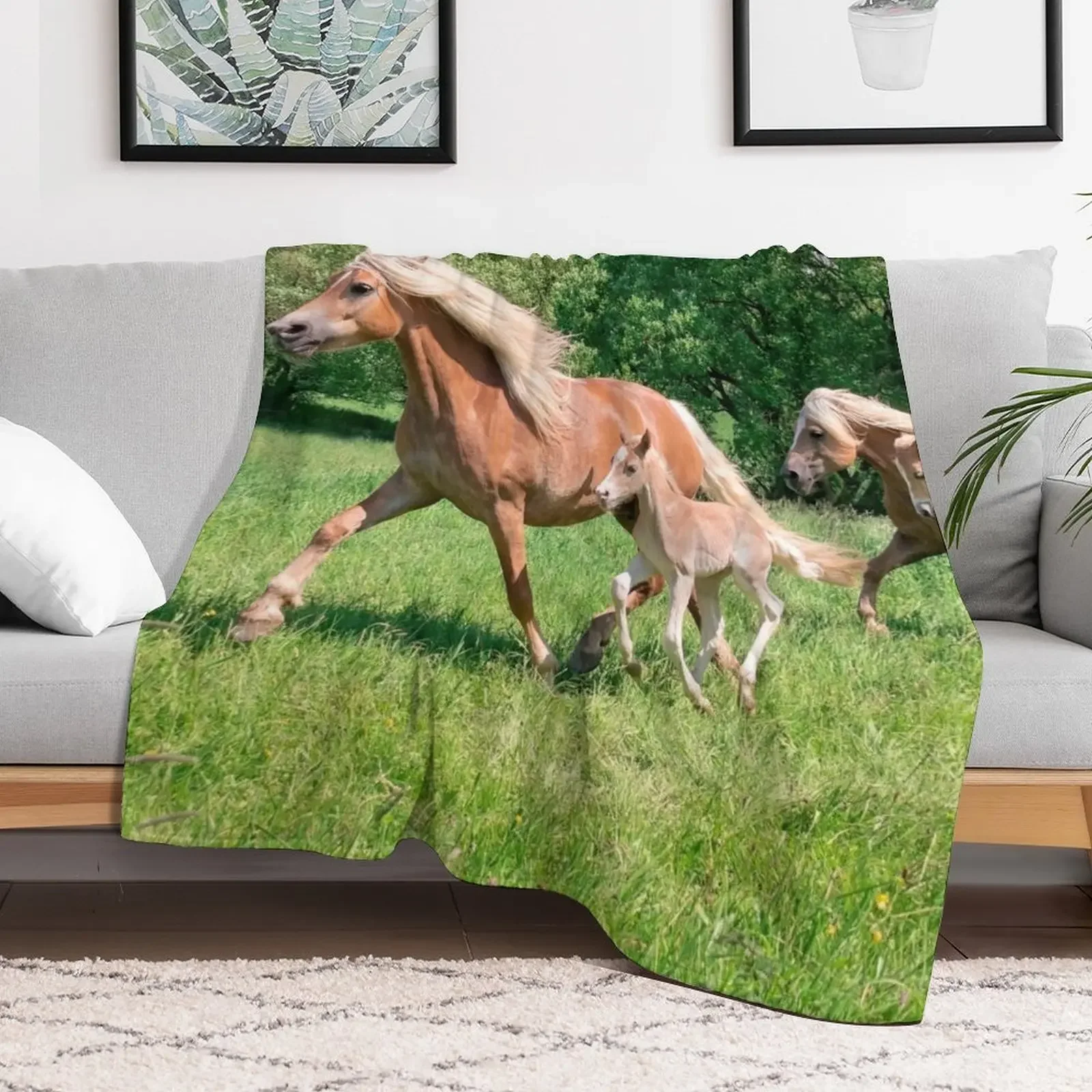 Haflinger horses run together Throw Blanket Luxury Designers Baby Luxury Brand Blankets