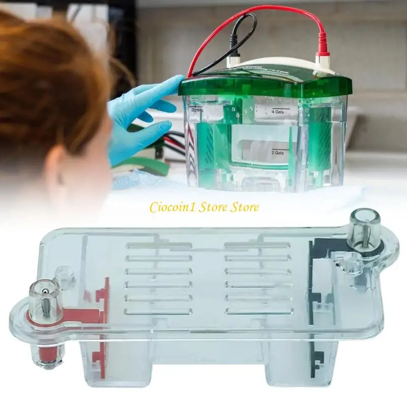 Lehrgerät für Elektrophorese, Biologie-Labor, Lehrmittel für Gel-Separations-Experimente, Schul-Labore – Detail 4