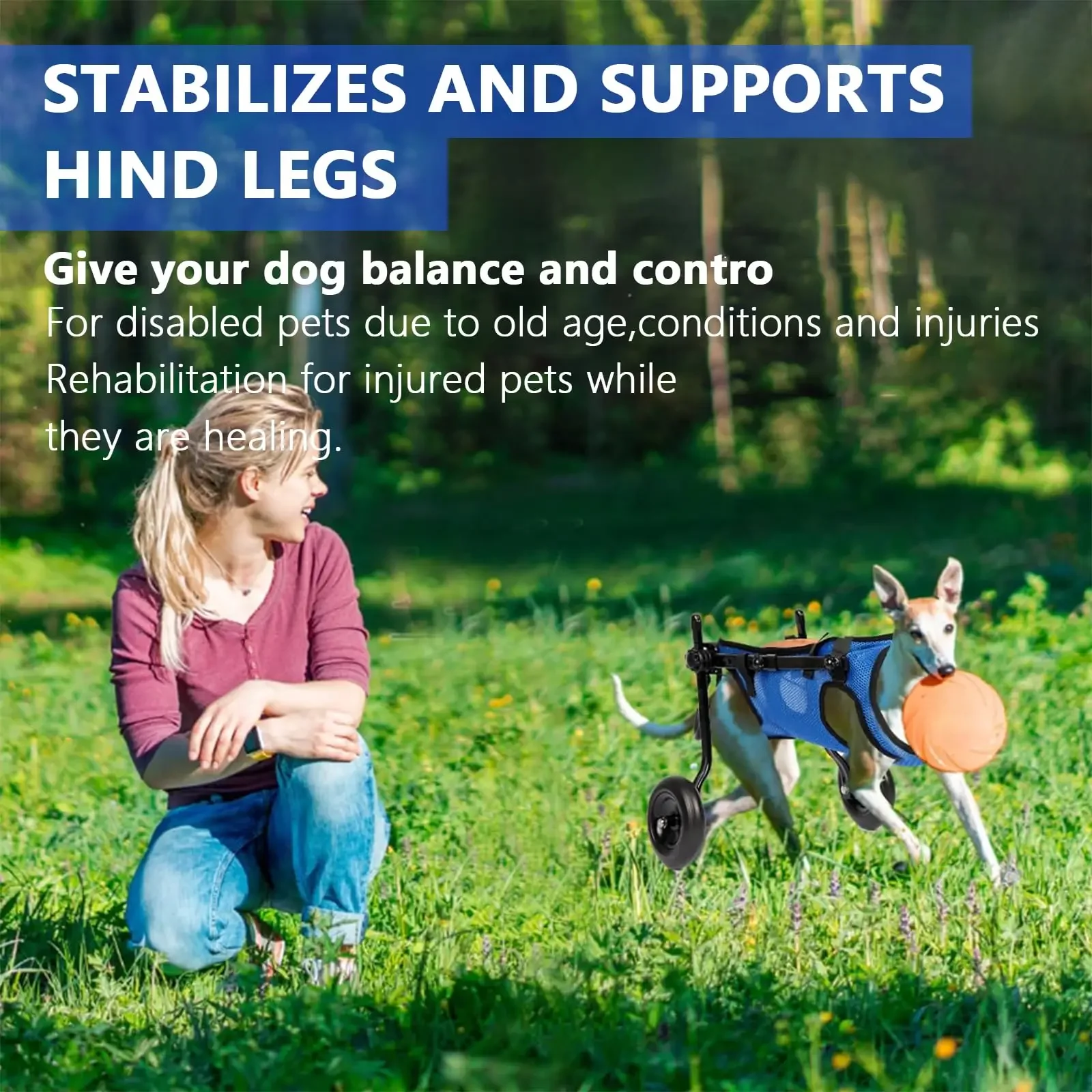 Adjustable Dog Wheelchairs for Back Legs Dog Wheelchair Cart for Hip Support Mobility Aids for Small Pets Hind Limbs