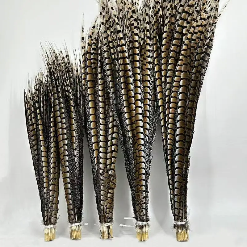 10/50Pcs/lot 10-110 cm Natural Lady Amherst Pheasant Center Tail Feathers for Crafts Decorative Diy Stage Performance Carnaval