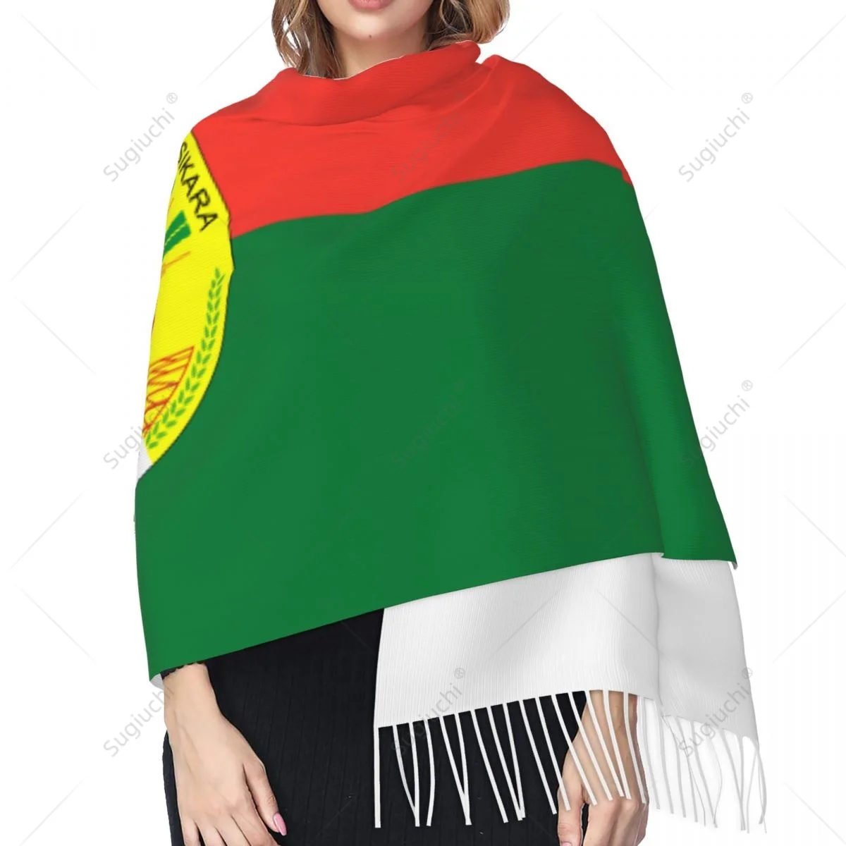 Madagascar Emblem Flag Scarf Pashmina Warm Scarves Shawl Wrap Hijab Spring Winter Multifunction Unisex