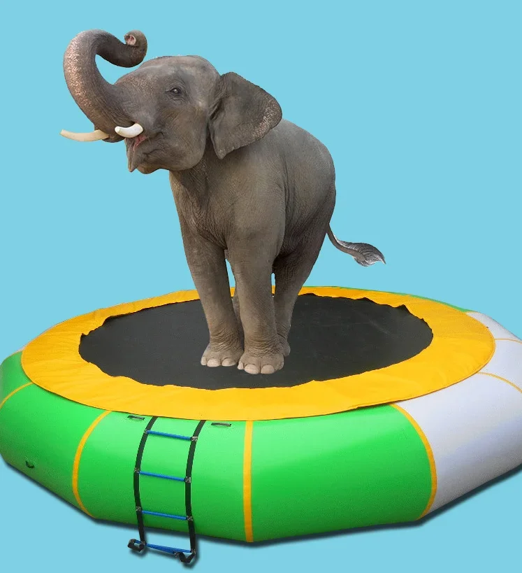 Cheap Water Floating Island Water Park Inflatable Jump Trampoline With Slide