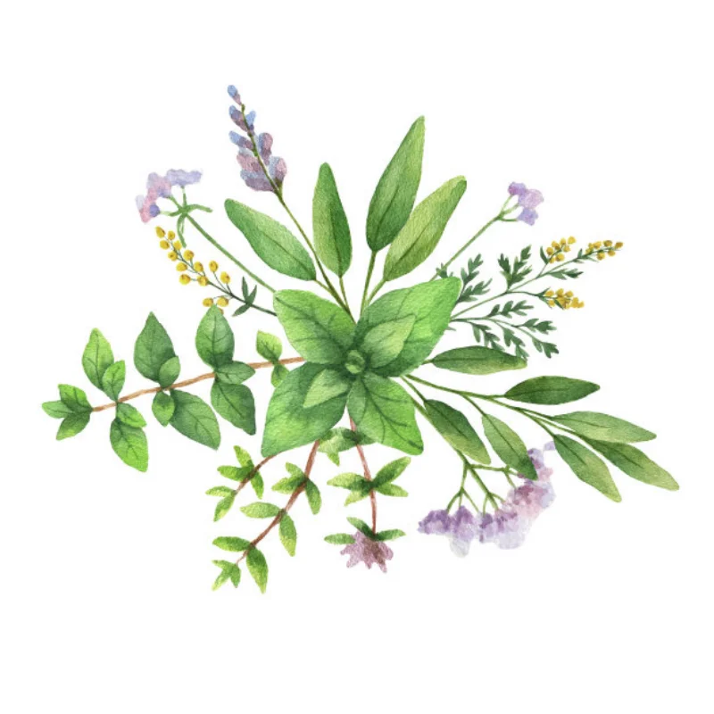 

Aluminum EXB Differential Housing for Arrma 1/8 6S Kraton Mojave Ranger V6, Replacement Upgrade Kit #ARA310983