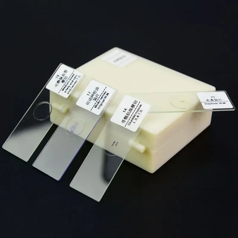 25PCS Insects Mosquito Prepared Microscope Glass Slides Set F Lab Biology Study Biological Microscopio Accesorio Telescopio - Image 3