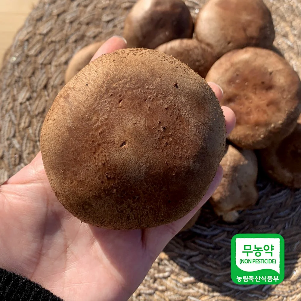 Hongo Shiitake sin pesticidas 1kg