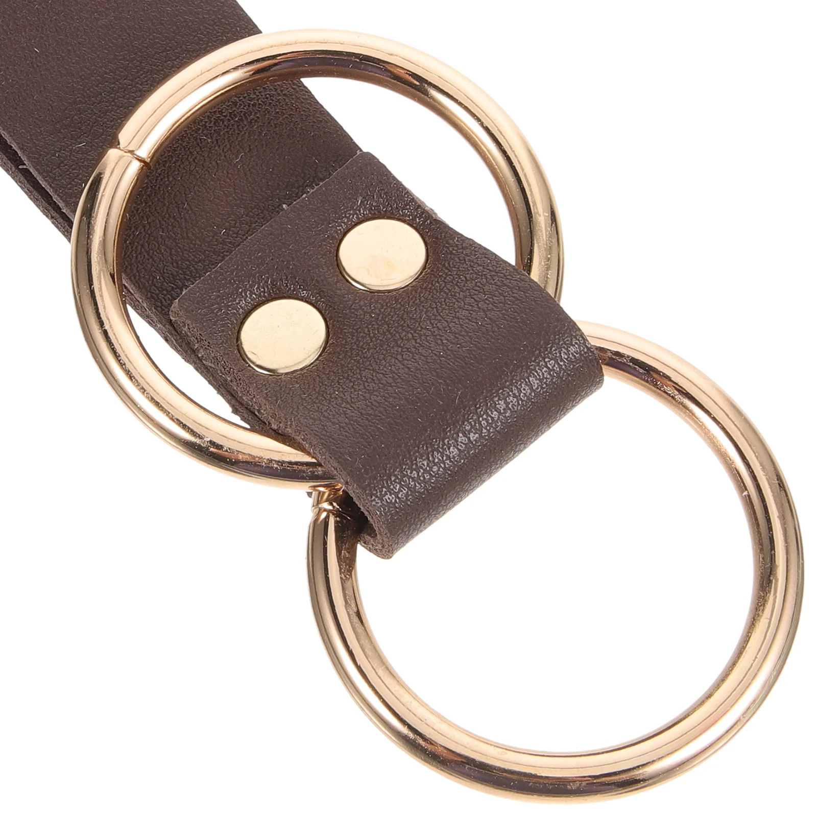 القرون الوسطى حلقة مزدوجة مشبك معدني حلقة مزدوجة مشبك لحزام خمر نمط المشي لمسافات طويلة في الهواء الطلق تنورة اللباس #1