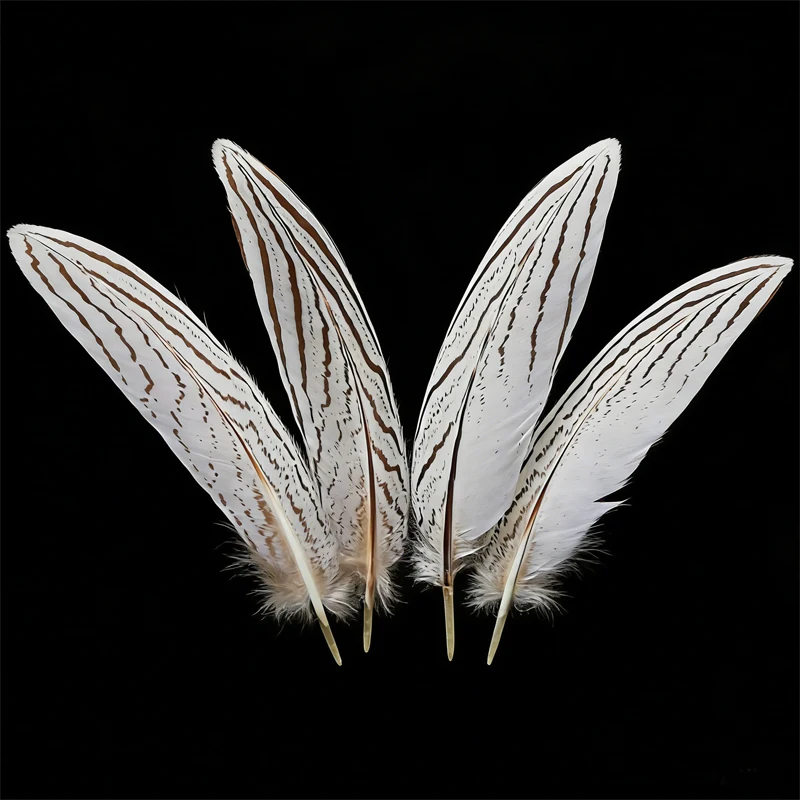 

50Pcs/Lot! 4-8inches 10-20cm Natural Curved SILVER PHEASANT Tail FEATHERS for Jewelry Making,DIY Handicraft Accessories