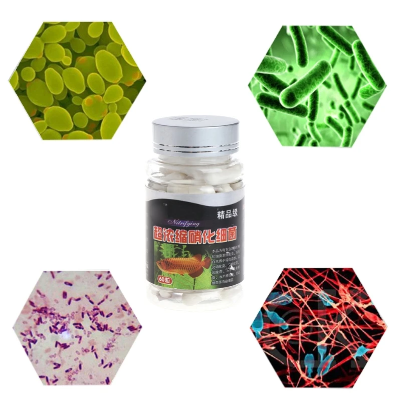 60 Pcs Nitrifying Bacterias Capsules for Aquarium Concentrated Dry Powder