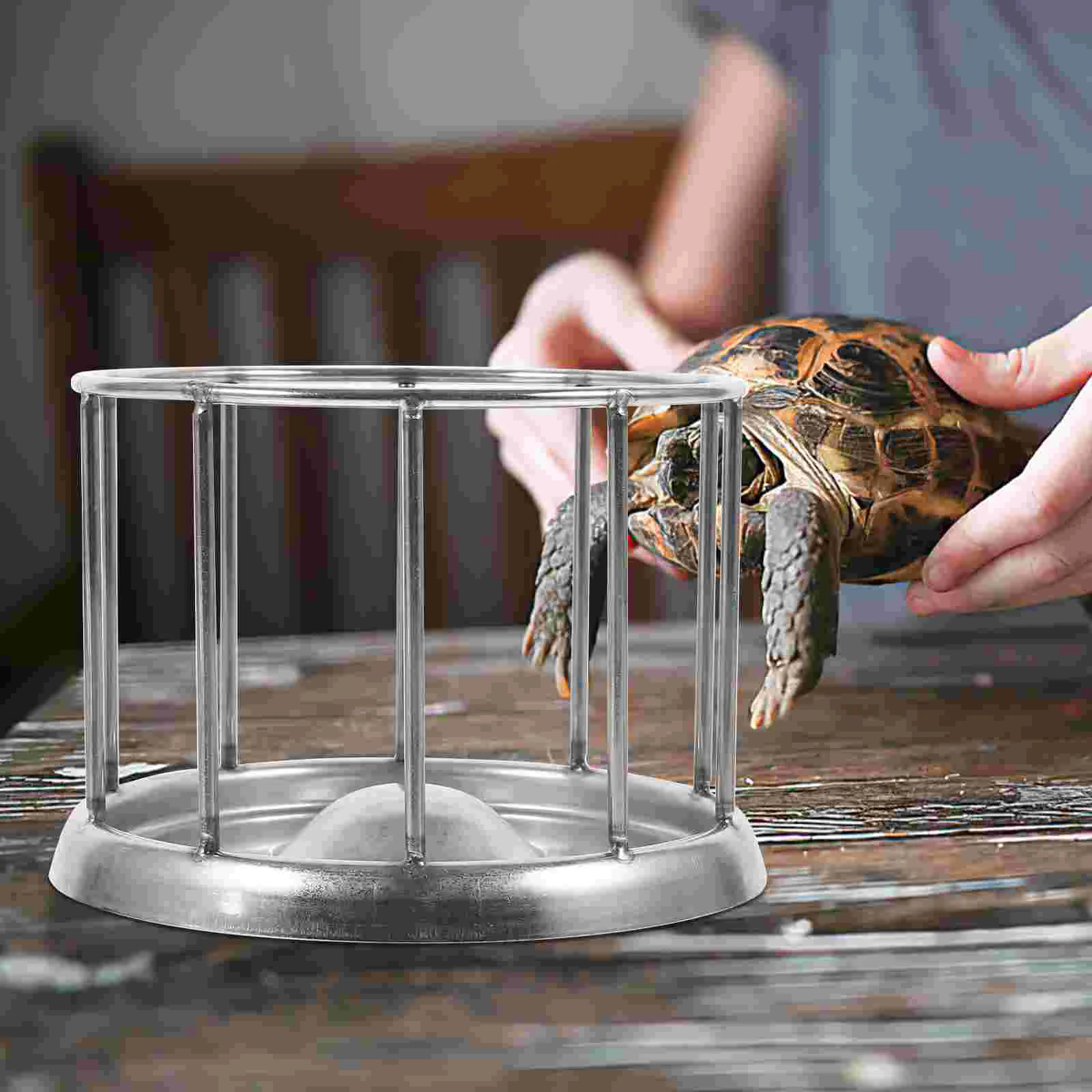 Feed Pan Tortoise Food Bowl Animals Stainless Steel Crawler Pet Feeding Dish Plate