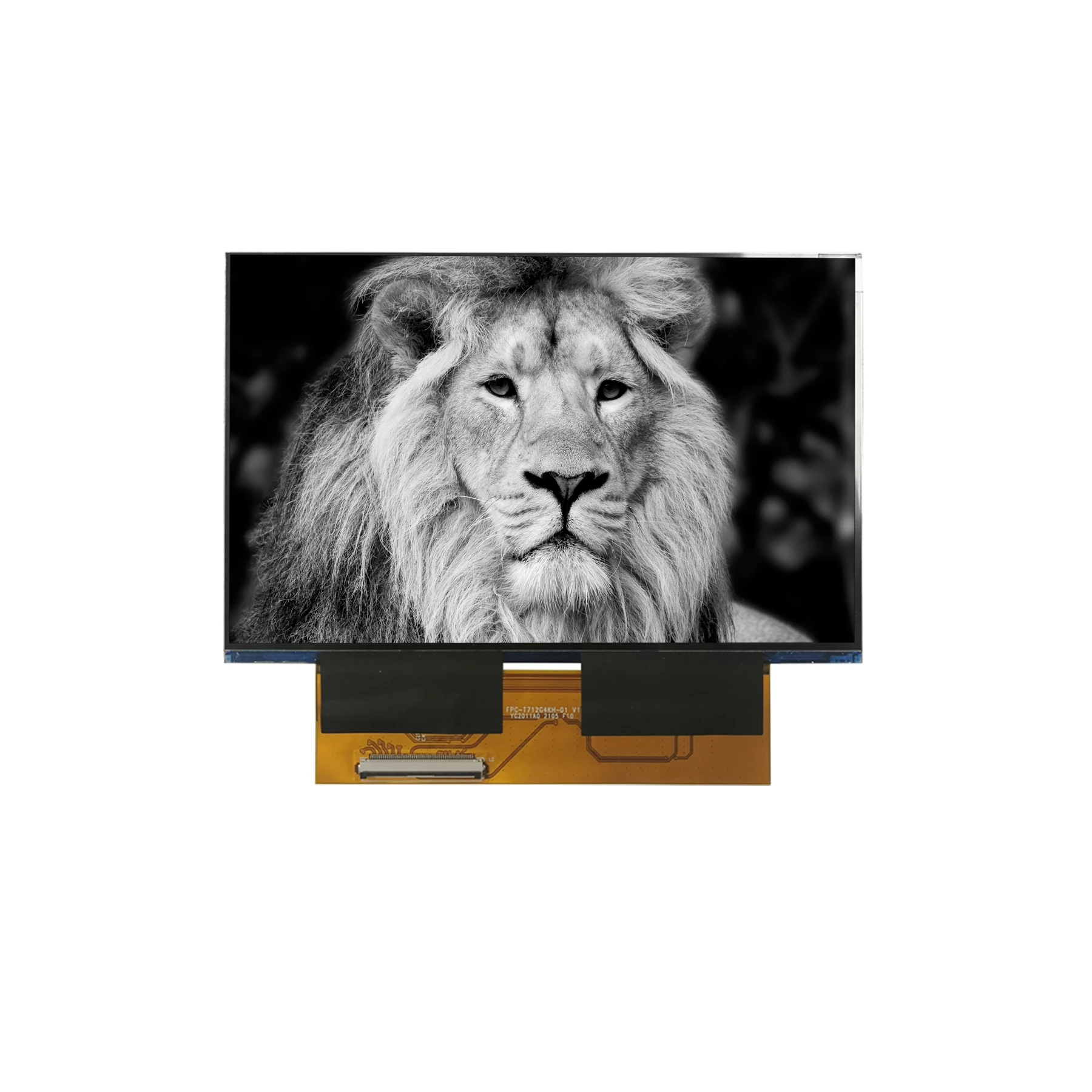 6.6 Inch 4098*2560 …