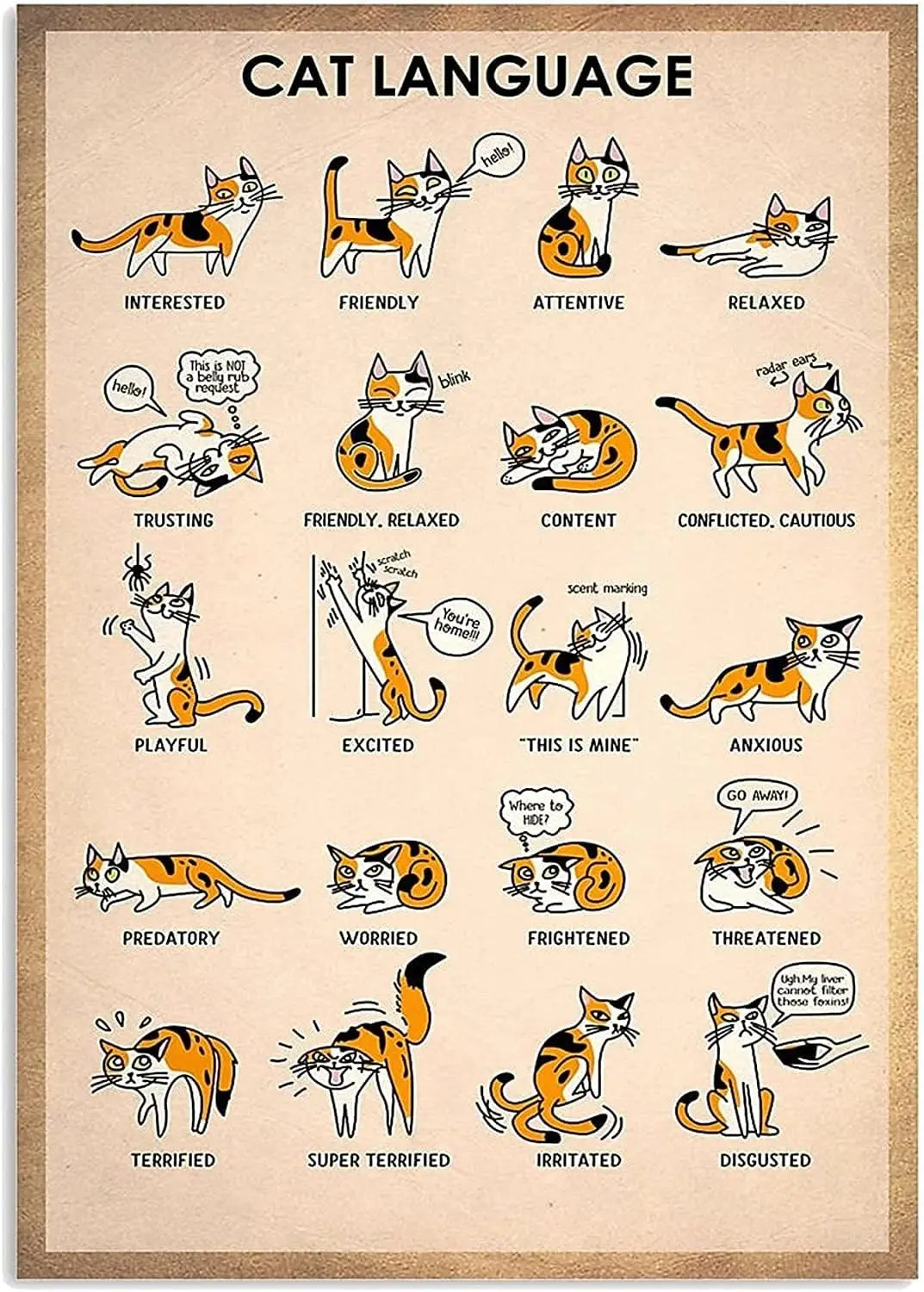Youpinnong Cat Knwoledge Metal Tin Sign Cat Language Retro Poster Room Decor Popular Science Education Farm Club Wall Decor sign