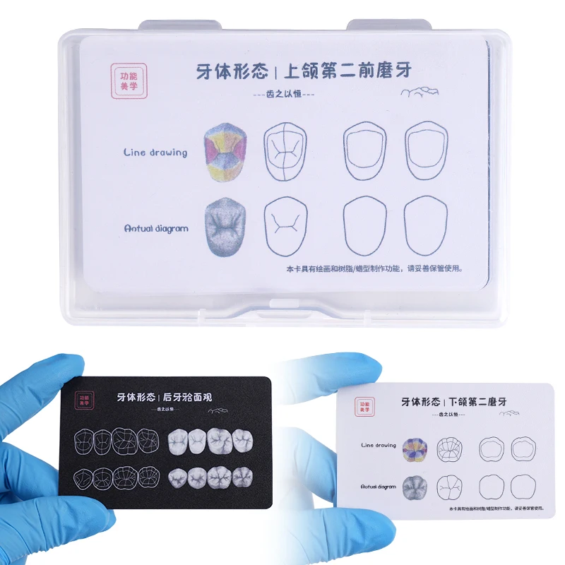 9pcs/box Dental Morphology Practice Card Dental Composite Filling Practice Board Anterior and Posterior Dentist Practise Tools