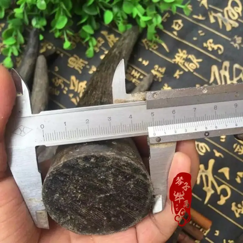Natural Solid Black Yak Horn Tip, Raw Material, Horn Knife Handle, Slingshot Engraving, Cigarette Holder, Pipo Fishing Rod Mate
