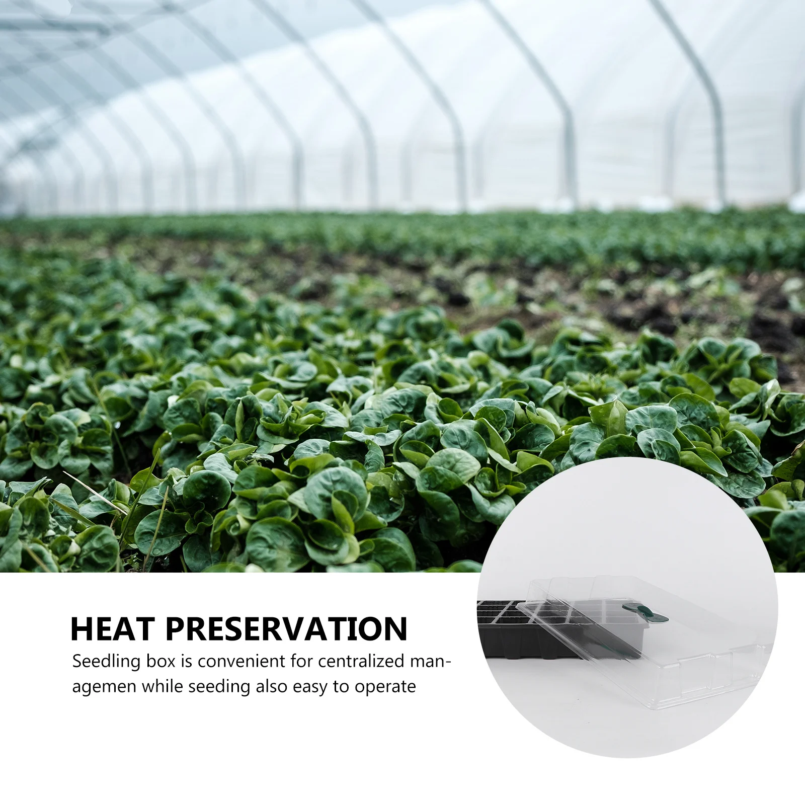 3 قطعة مجموعة صينية إنبات النباتات 24 خلايا أواني الحضانة غطاء شفاف قابل للتكديس صندوق الشتلات المائية للبذور #5