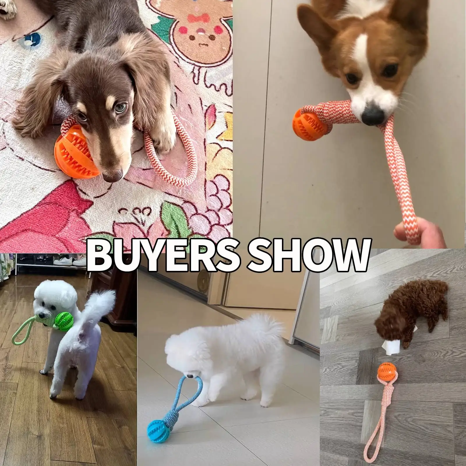 Thumbnail 2 - #72 Best Puppy Balls to Buy In 2026