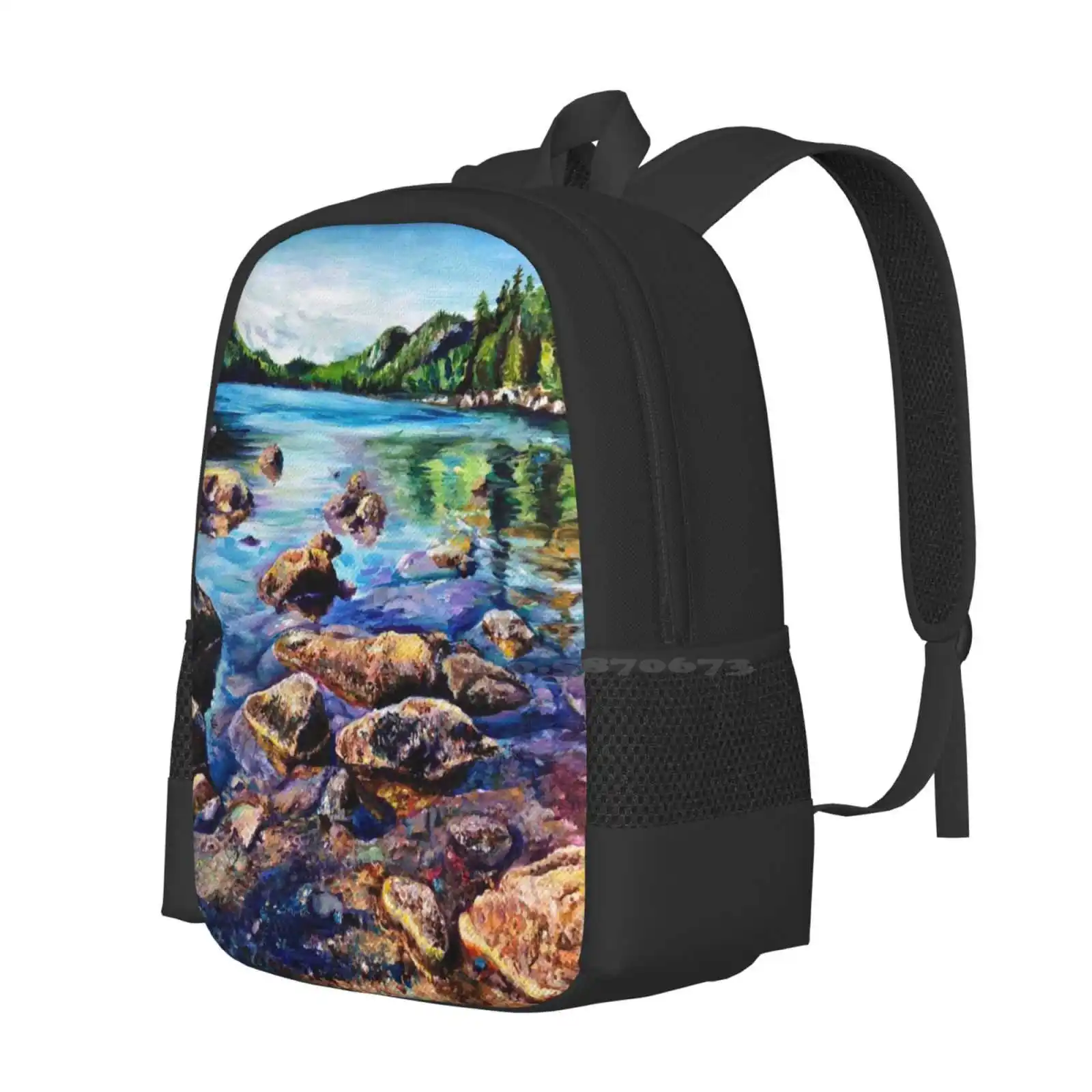 メイン アカディア絵画風景パターン デザイン バッグ学生のバックパックアクリル メイン アカディア国立公園風景ヒラリー