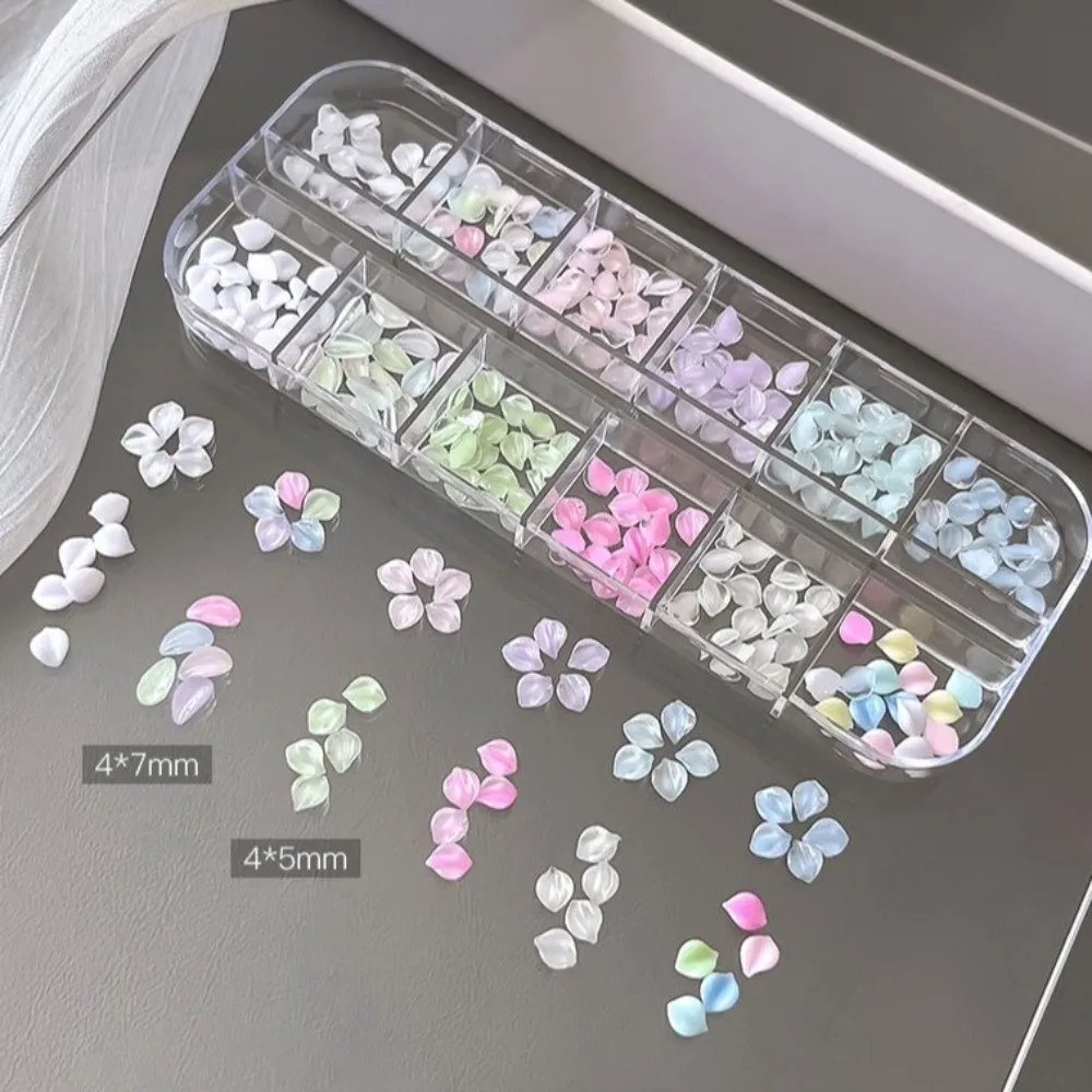 12 Grids/Box Nail Art Sequins Kit Transparent Colorful Nail Charms Decorations DIY 3D Flower Petals Nail Art Glitter Set