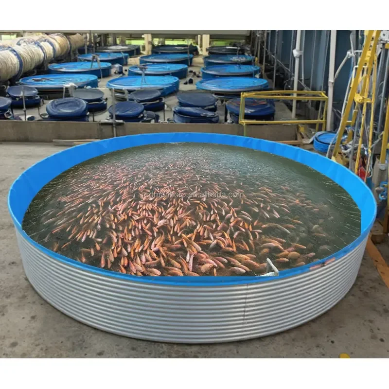 Recirculating Aquaculture System Fish Pond for Aquaculture Fish Farming Feeding Pond with Galvanized Steel Panel Support