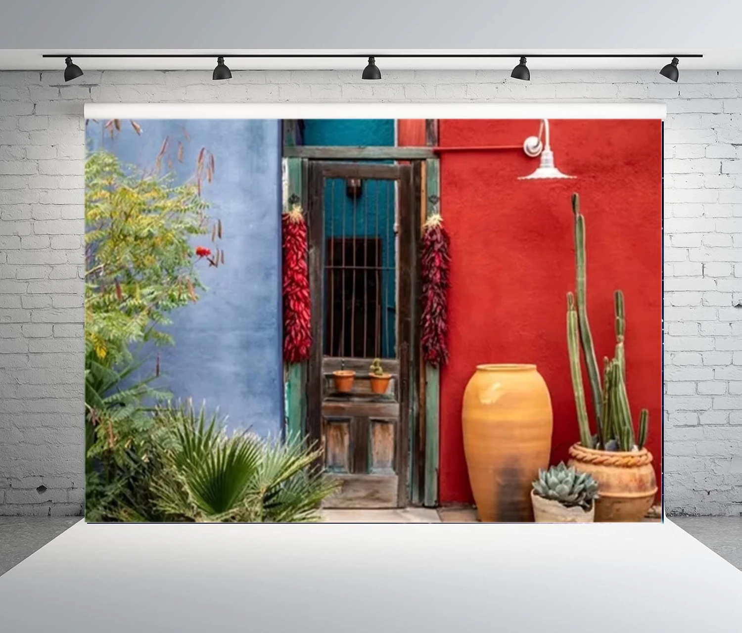 Photography Backdrop Mexico Cactus Western Building Life Desert Plant Saguaro Grunge Stone Wall Flowerpot Garden Door Background