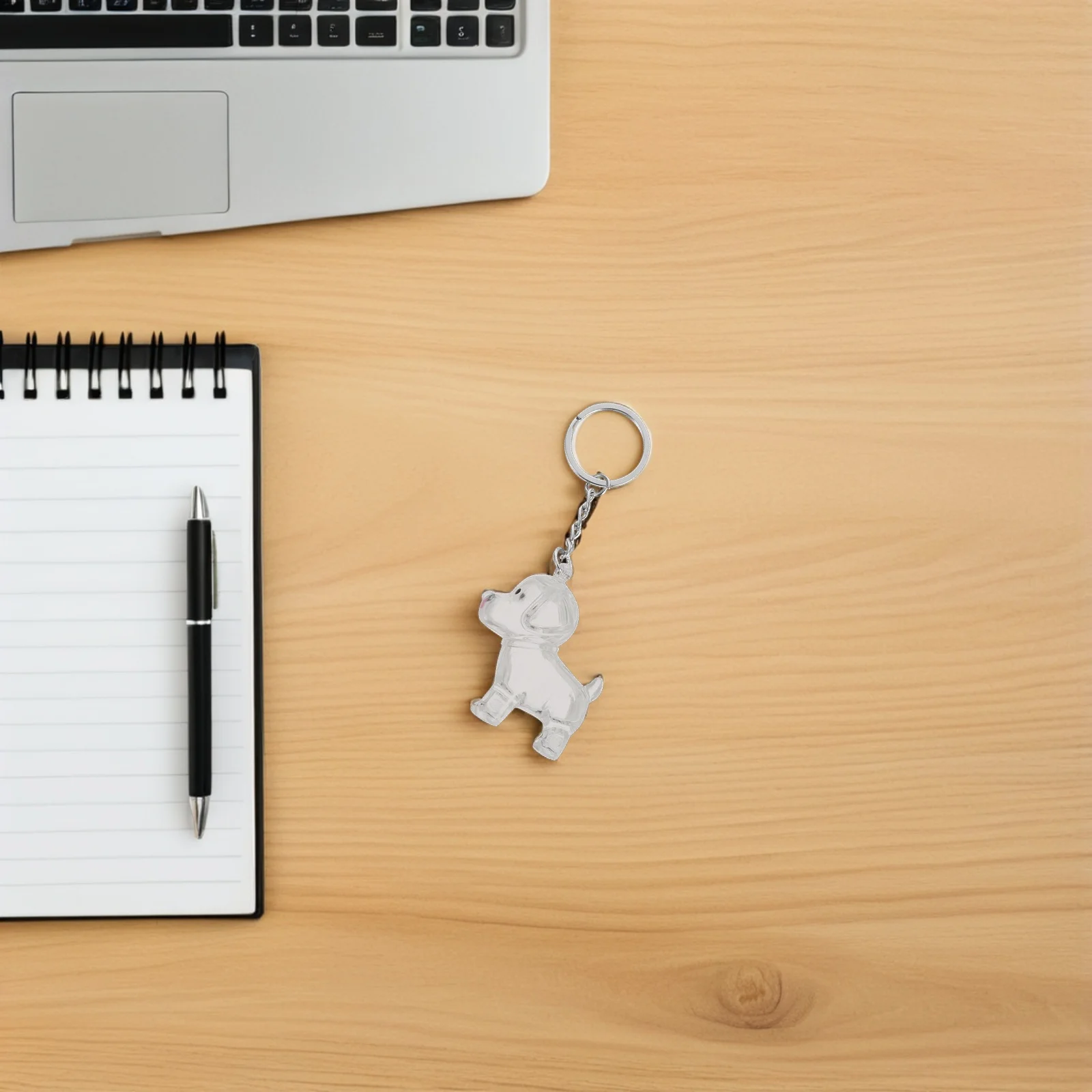 

4Pcs Pet Hair Keepsake Container Transparent Egg Shape Keychain for Dog Memorial Storage Pendant Bag Charm Pet Hair Keepsake Box