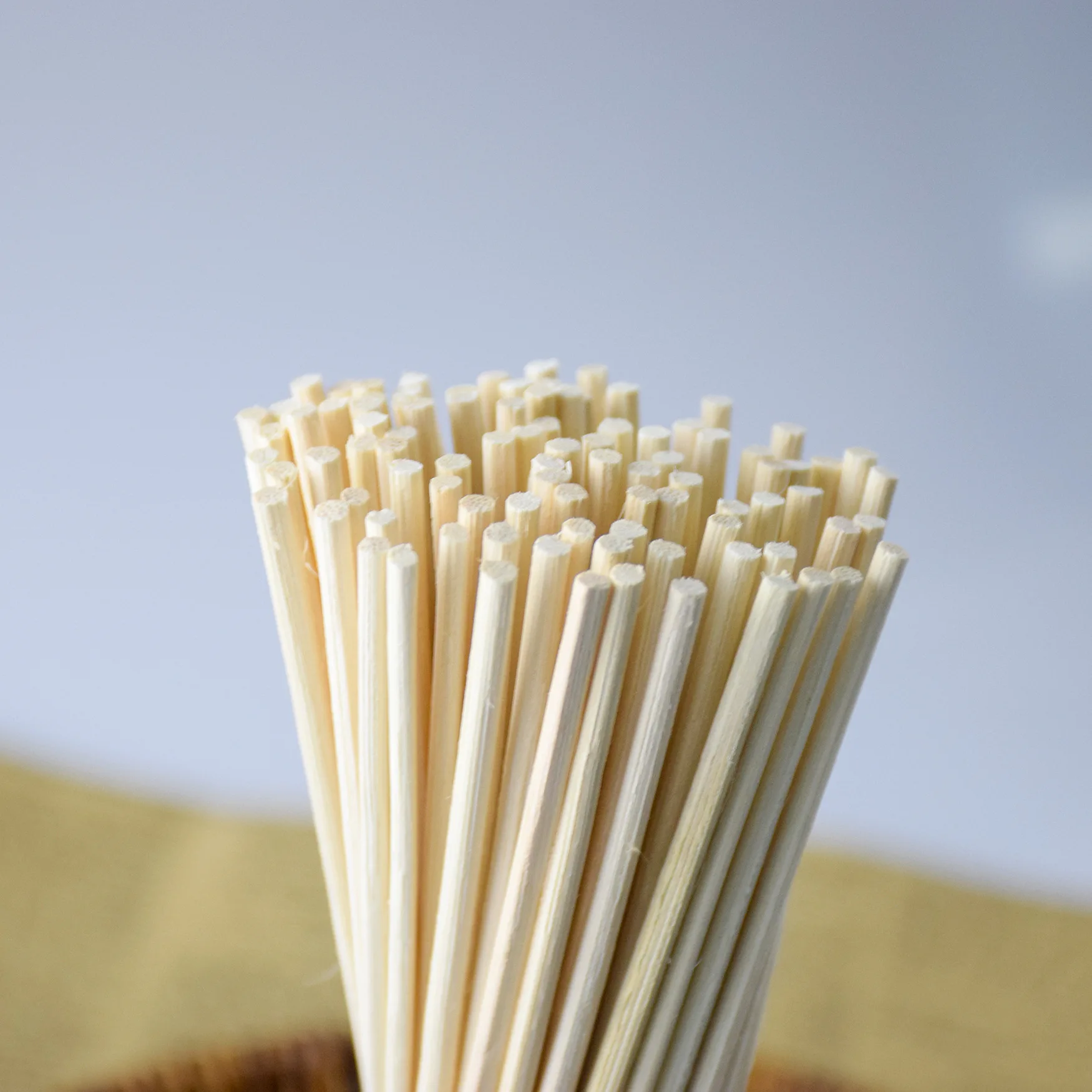 3MM X 24CM Indonesia Essential Oil Diffusion Wooden Rattan Sticks, Decorative Aromatherapy Flower Reed Diffuser Sticks